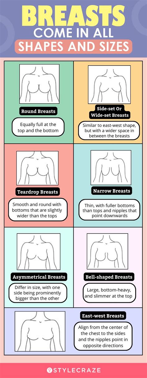 boob lineup|Your Guide to Common Breast Shapes